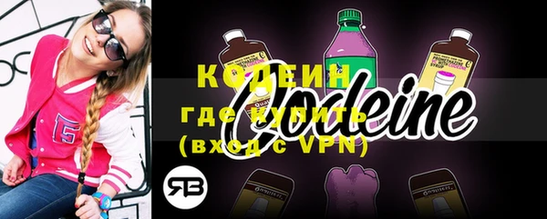 ГАЛЛЮЦИНОГЕННЫЕ ГРИБЫ Няндома