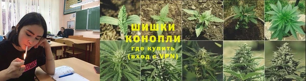 МДПВ Нягань