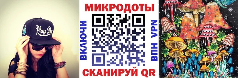 Псилоцибиновые грибы Psilocybe  Аргун 
