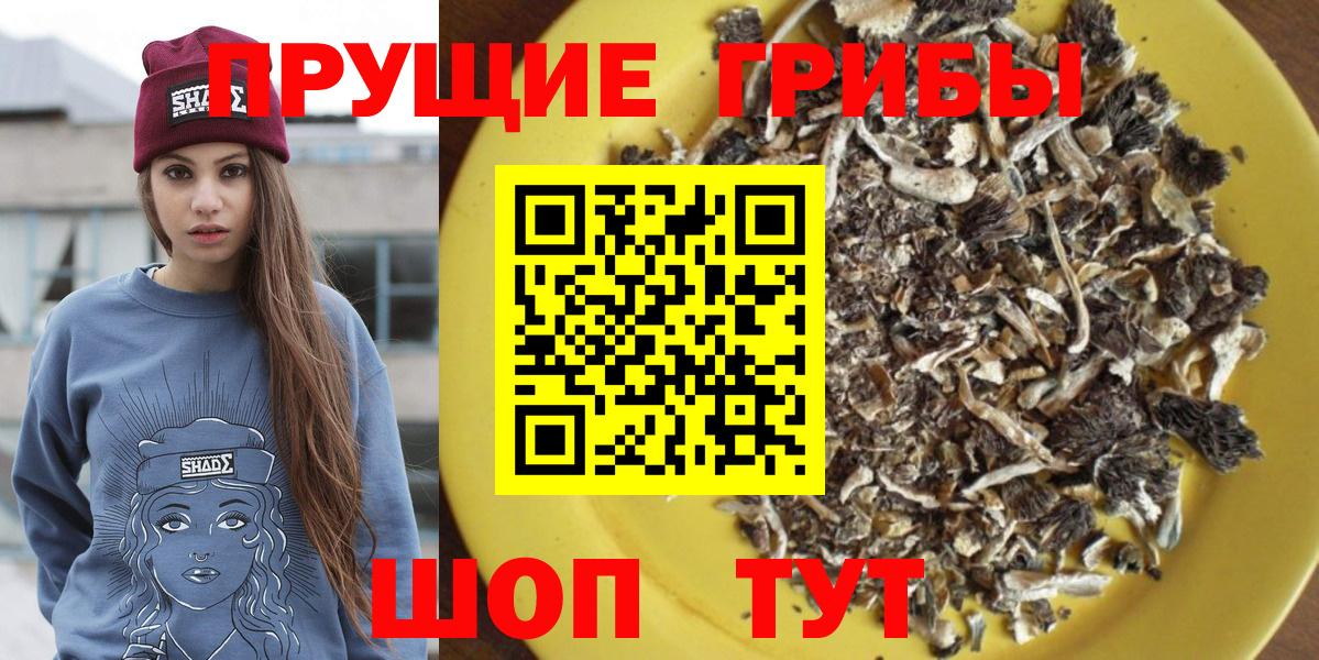 Галлюциногенные грибы GOLDEN TEACHER Аргун