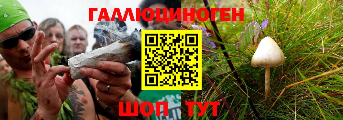 Галлюциногенные грибы мухоморы Аргун