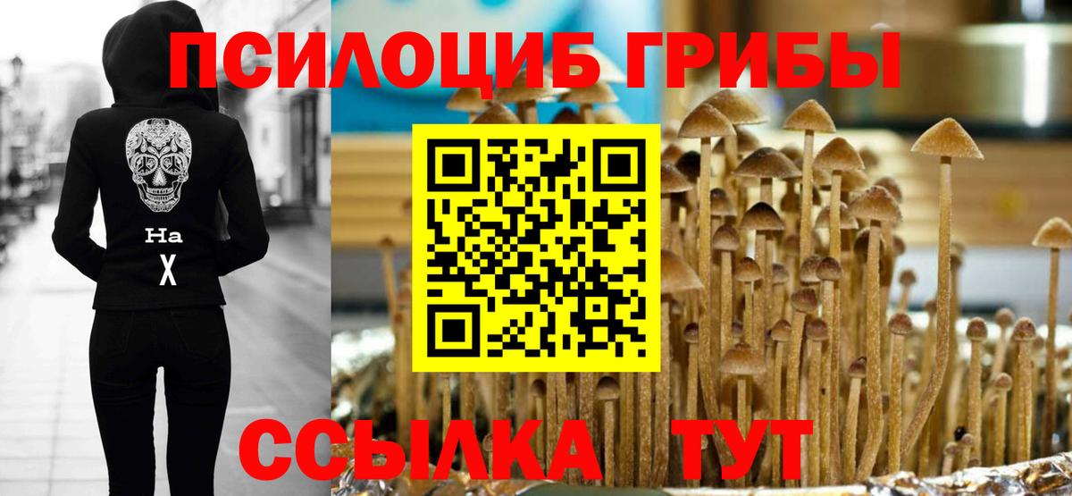 Аргун  Галлюциногенные грибы мицелий  где купить   Вход с VPN  Галлюциногенные грибы прущие грибы 